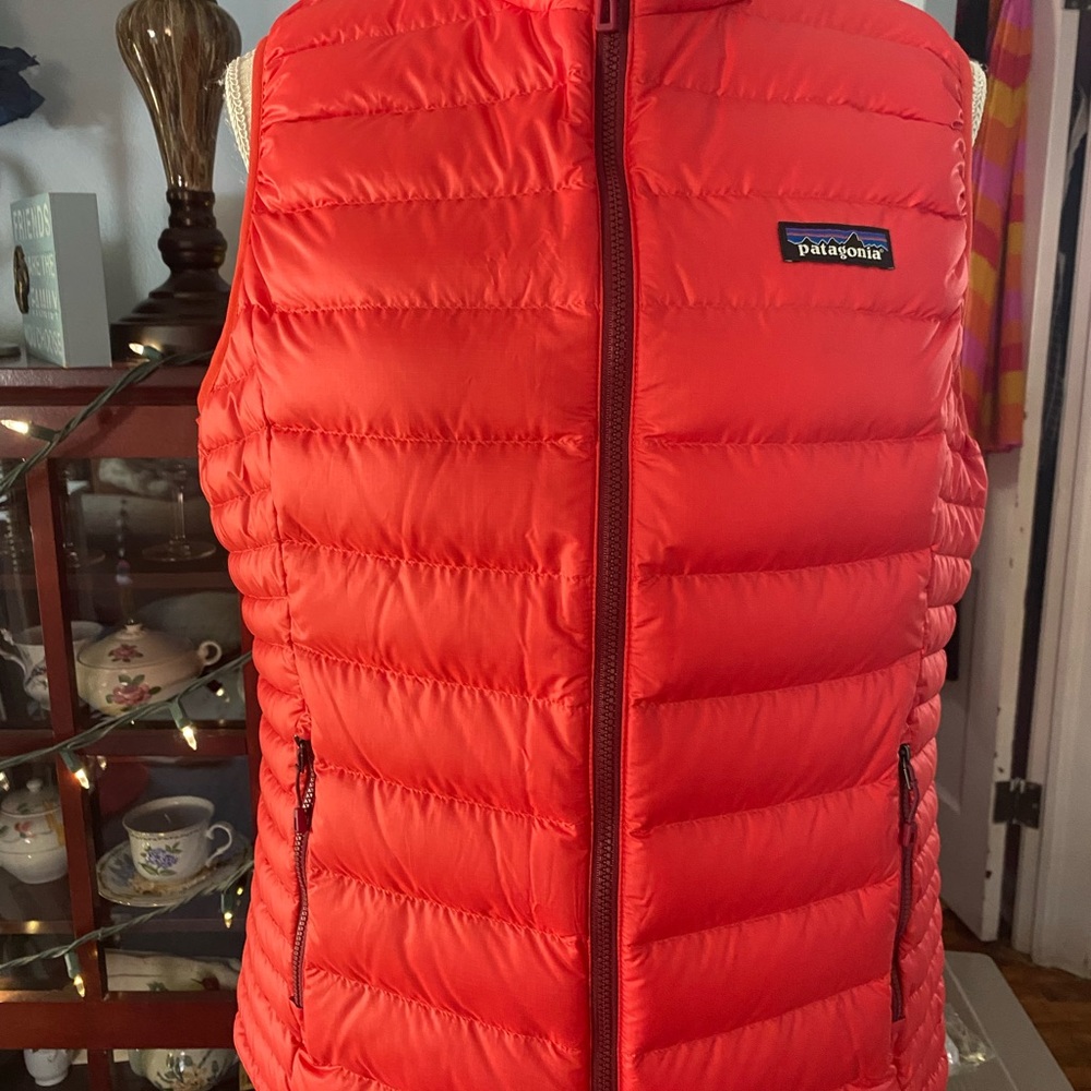 NWT Patagonia goose down vest